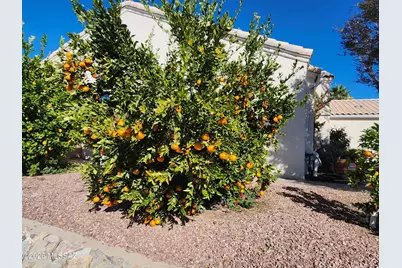 3394 W Crestone Court, Tucson, AZ 85742 - Photo 42