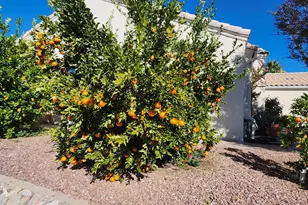 3394 W Crestone Ct, Tucson, AZ 85742 - Photo 42