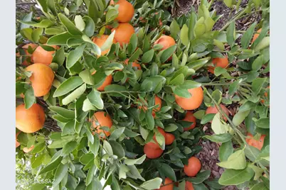 3394 W Crestone Court, Tucson, AZ 85742 - Photo 44