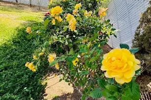 7122 E Eastland St, Tucson, AZ 85710 - Photo 34