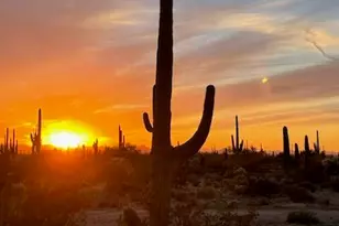 33597 E Davis Ranch Rd, Marana, AZ 85658 - Photo 40