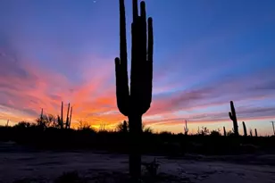 33597 E Davis Ranch Rd, Marana, AZ 85658 - Photo 44