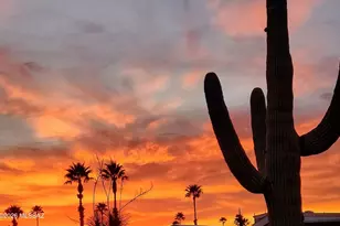 3100 S Kinney Rd, Tucson, AZ 85713 - Photo 18