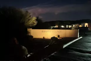 5702 W Treasure Cove Loop, Tucson, AZ 85713 - Photo 44