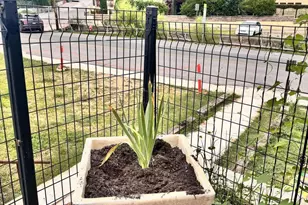 644 Tombstone Canyon, Bisbee, AZ 85603 - Photo 18