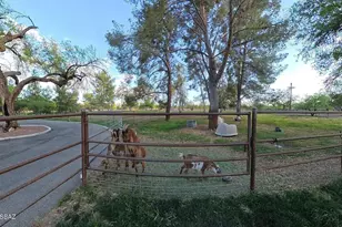 8741 E Woodland Rd, Tucson, AZ 85749 - Photo 48