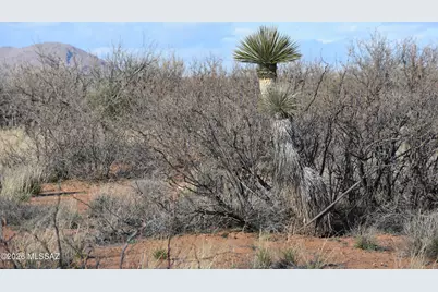 E Howling Wolf Road, Willcox, AZ 85643 - Photo 24