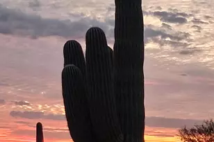 6351 N Bobcat Ln, Tucson, AZ 85743 - Photo 40