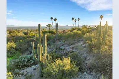 3232 E Blossom Dancer Lane #1, Tucson, AZ 85718 - Photo 10