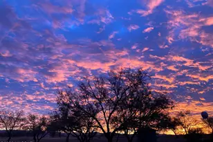 3 Baca Corte, Patagonia, AZ 85624 - Photo 44