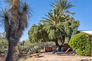 1112 W Maximilian Way, Tucson, AZ 85704 - Photo 40