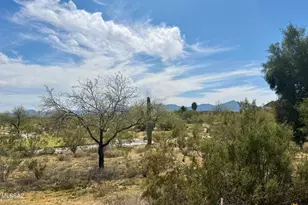 2663 W Cholla Ridge Pl, Tucson, AZ 85742 - Photo 24