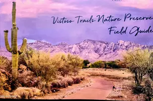 13235 N Booming Dr, Oro Valley, AZ 85755 - Photo 36