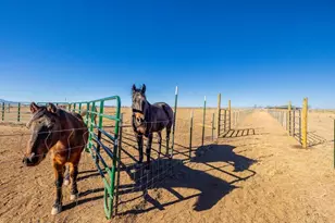 26 Pronghorn Ln, Elgin, AZ 85611 - Photo 32