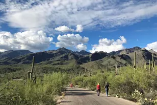 5800 N Kolb Rd, Tucson, AZ 85750 - Photo 48