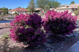 37923 S Cypress Ct, Tucson, AZ 85739 - Photo 34