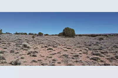 10.1 Acres Unnamed Road, Sanders, AZ 86512 - Photo 6