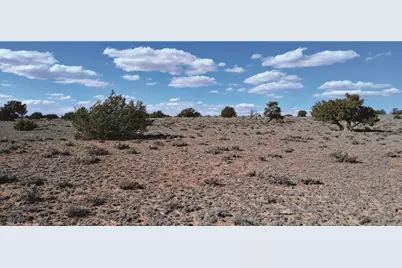 10.1 Acres Unnamed Road, Sanders, AZ 86512 - Photo 12