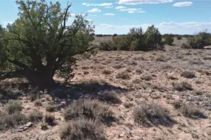 10 1 Acres Unnamed Rd, Sanders, AZ 86512 - Photo 1