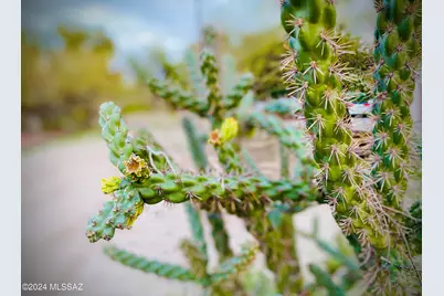 403 S El Paso Avenue, Tucson, AZ 85701 - Photo 8