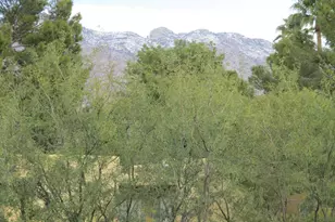 2010 E River Rd, Tucson, AZ 85718 - Photo 6