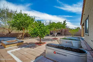 11100 N Delphinus St, Oro Valley, AZ 85742 - Photo 42