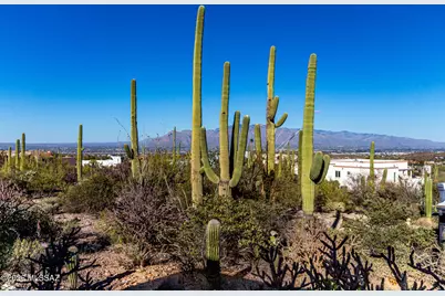 5100 W Via Mallorca, Tucson, AZ 85745 - Photo 50