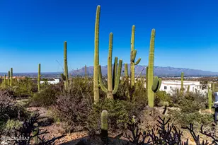 5100 W Via Mallorca, Tucson, AZ 85745 - Photo 50