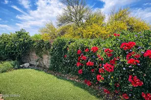 780 S Shadow Tree Pl, Tucson, AZ 85748 - Photo 30