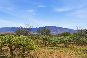 3460 W Calle Quatro, Green Valley, AZ 85622 - Photo 1