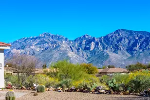 739 W Buffalo Grass Dr, Oro Valley, AZ 85755 - Photo 28