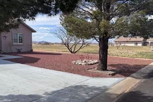 185 N Cholla Dr, Sunsites, AZ 85625 - Photo 10