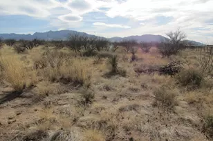Tbd N Cutting Horse Ln, Cochise, AZ 85606 - Photo 1