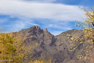 5414 N Placita Gato Montes, Tucson, AZ 85718 - Photo 40