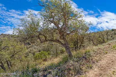 39.5 Acres Off Sam Clemens, Oracle, AZ 85623 - Photo 34