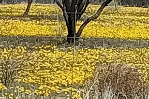 517 Kino Springs Dr, Nogales, AZ 85621 - Photo 48