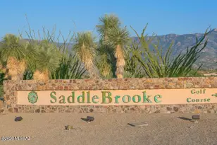 37622 S Spoon Dr, Saddlebrooke, AZ 85739 - Photo 42