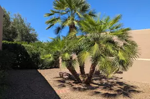 840 W Via Rio Fuerte, Green Valley, AZ 85614 - Photo 10