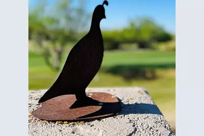 7316 E Calle Alba Serena, Tucson, AZ 85750 - Photo 42