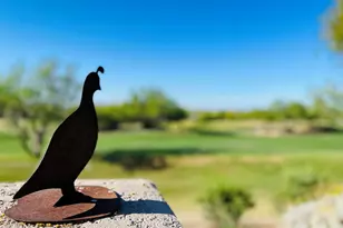 7316 East Calle Alba Serena, Tucson, AZ 85750 - Photo 42