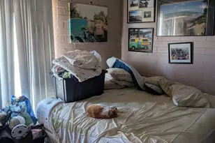 3960 E Flower St, Tucson, AZ 85712 - Photo 8