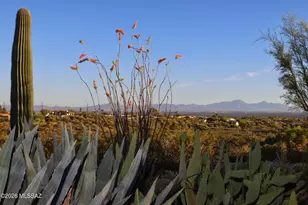 5898 N Misty Ridge Dr, Tucson, AZ 85718 - Photo 38