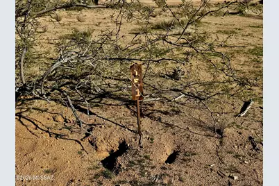 15783 W Phillips Road #151, Tucson, AZ 85736 - Photo 16