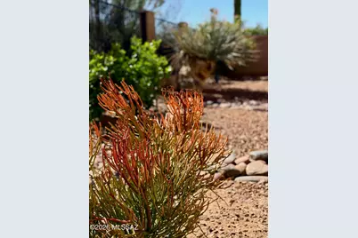 355 W Sacaton Canyon Drive, Oro Valley, AZ 85755 - Photo 40