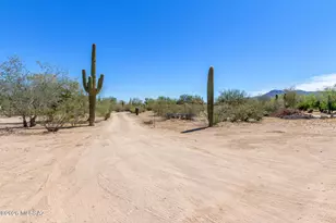 6505 N Pelto Path, Tucson, AZ 85743 - Photo 8