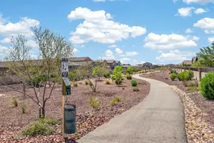 10352 W Zimmerman St, Marana, AZ 85653 - Photo 38