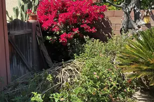 2700 W Camino De La Joya, Tucson, AZ 85742 - Photo 22