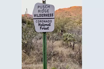 6655 N Canyon Crest Drive #18203, Tucson, AZ 85750 - Photo 50