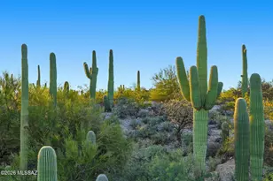 5051 N Hillcrest Dr, Tucson, AZ 85704 - Photo 42