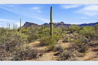 6126 N Placita Sayal N #6, Tucson, AZ 85743 - Photo 22